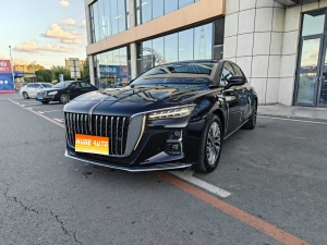MY2024 Hong Qi H5 2.0T AT ICV Joyful