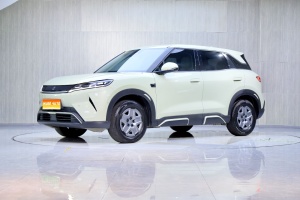 2025款 元UP 智驾版 401KM 活力版