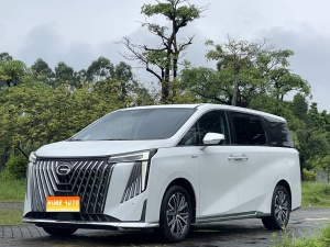 MY2024 Trumpchi M8 Master 400T Distinguished Version