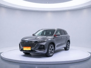 MY2022 Changan-OSHAN X7 PLUS 1.5T Blue Core AT Exclusive Version