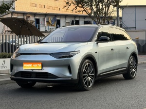MY2021 Leapmotor C11 Exclusive Version 