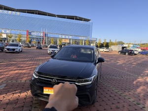 MY2024 Tiguan L Outstanding 300TSI AT 2WD Dragon drawing Version