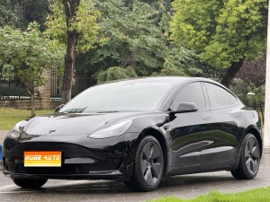MY2022 Model 3 RWD