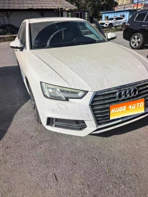 MY2019 Audi A4L 40 TFSI Advanced National VI