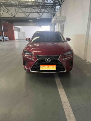 MY2020 Lexus NX 200 FWD Fengxing National VI
