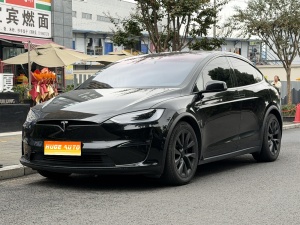 2023款 Model X 双电机全轮驱动版
