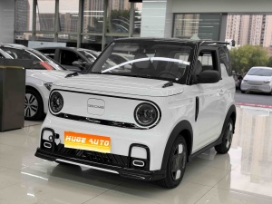 MY2025 Panda mini 210km Energetic Bear