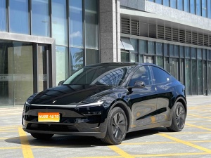 2025款 Model Y 长续航全轮驱动版