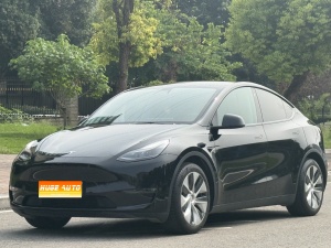 MY2021 Model Y Standard Range RWD 