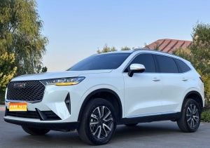 2024款 哈弗H6 1.5T 两驱Max