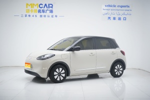 2025款 五菱缤果 333km 灵犀互联款
