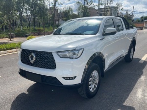MY2019 Poer 2.0T Commercial MT Diesel 4WD Elite Version Long Van GW4D20M