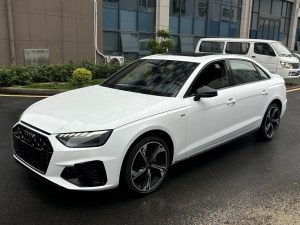 2024款 奥迪A4L 40 TFSI 豪华动感型(星夜版)