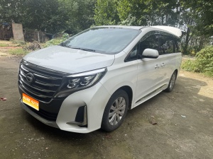 MY2020 Trumpchi M8 Navigation 390T Exclusive Version