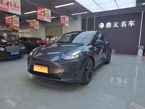 MY2021 Model Y Long Range AWD 3D7