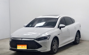 MY2021 Qin PLUS DM-i 55KM Flagship