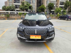 2020款 魏牌 VV6 2.0T 两驱智护+