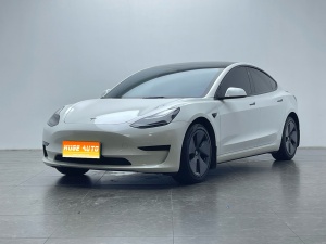 MY2021 Model 3 Standard Range RWD Upgraded 3D6