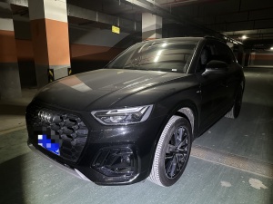 MY2025 AUDI Q5L 45th Anniv. Collection 40 TFSI Luxury Dynamic Version