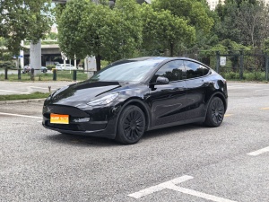 MY2021 Model Y Standard Range RWD 