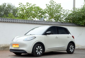 MY2024 Wuling Bingo 333km Enjoy
