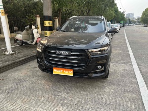 2025款 哈弗H6 1.5T 国潮都市版