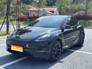 MY2021 Model Y Standard Range RWD 