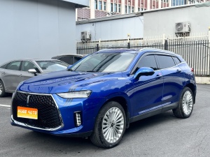 MY2018 WEY P8 2.0T Flagship Version 