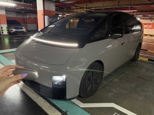 MY2025 Li MEGA Home Family Special