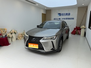 MY2020 Lexus UX NEV 300e Pure Joy