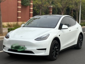 MY2022 Model Y Facelift RWD