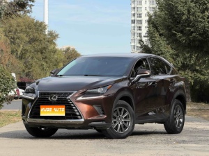 MY2018 Lexus NX 200 FWD Fengxing National V 