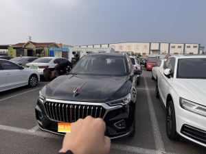 MY2019 Hong Qi HS5 2.0T ICV Enjoy 