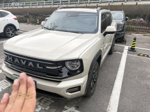 MY2026 Haval Dargo PLUS NEV Hi4 150km Electric