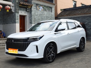 MY2023 Landian E5 1.5L DE-i 100KM Enjoy 7 seats