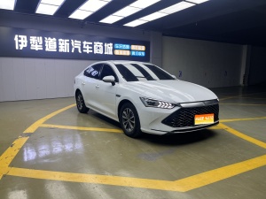 2024款 秦PLUS 荣耀版 DM-i 55KM领先型