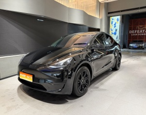 MY2022 Model Y Facelift RWD