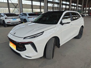 MY2021 Forthing T5 EVO 1.5TD DCTPlatinum Version 