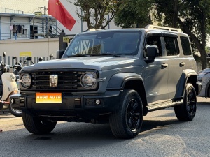 MY2024 TANK 300 2.0T  Conqueror