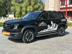 MY2022 Haval Dargo 2.0T DCT 4WD Chinese Rural Dog