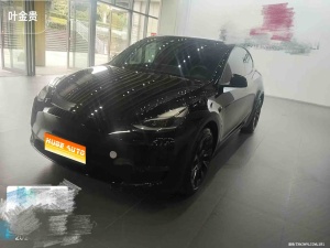 2021款 Model Y 标准续航后驱版