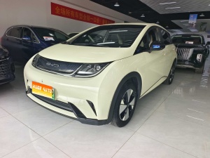MY2024 Dolphin Honor 420km Free