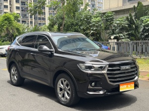 MY2021 Haval H6 China-chic 1.5T AT Champion Version 