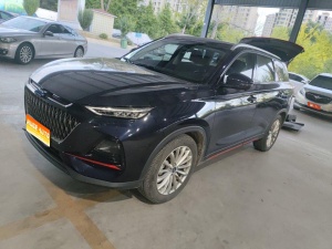MY2022 Changan-OSHAN X7 PLUS 1.5T Blue Core AT Distinguished Version