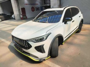2021款 哈弗赤兔 激擎版 1.5T 黄金兔