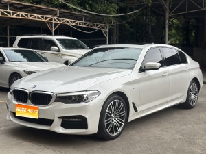 MY2019 BMW 5 Series 530Li Lead Version M Sport Kit 