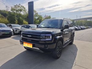 MY2025 Leopard 5 125KM DiPilot Ultra