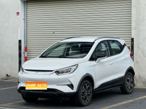 MY2021 Yuan Pro 401KM Luxury