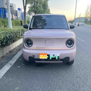 MY2023 Panda mini 200km Intelligent Panda