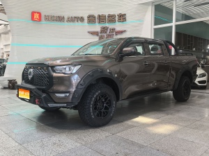 MY2021 Poer 2.0T Commercial AT Diesel 4WD Elite Version Long-van GW4D20M